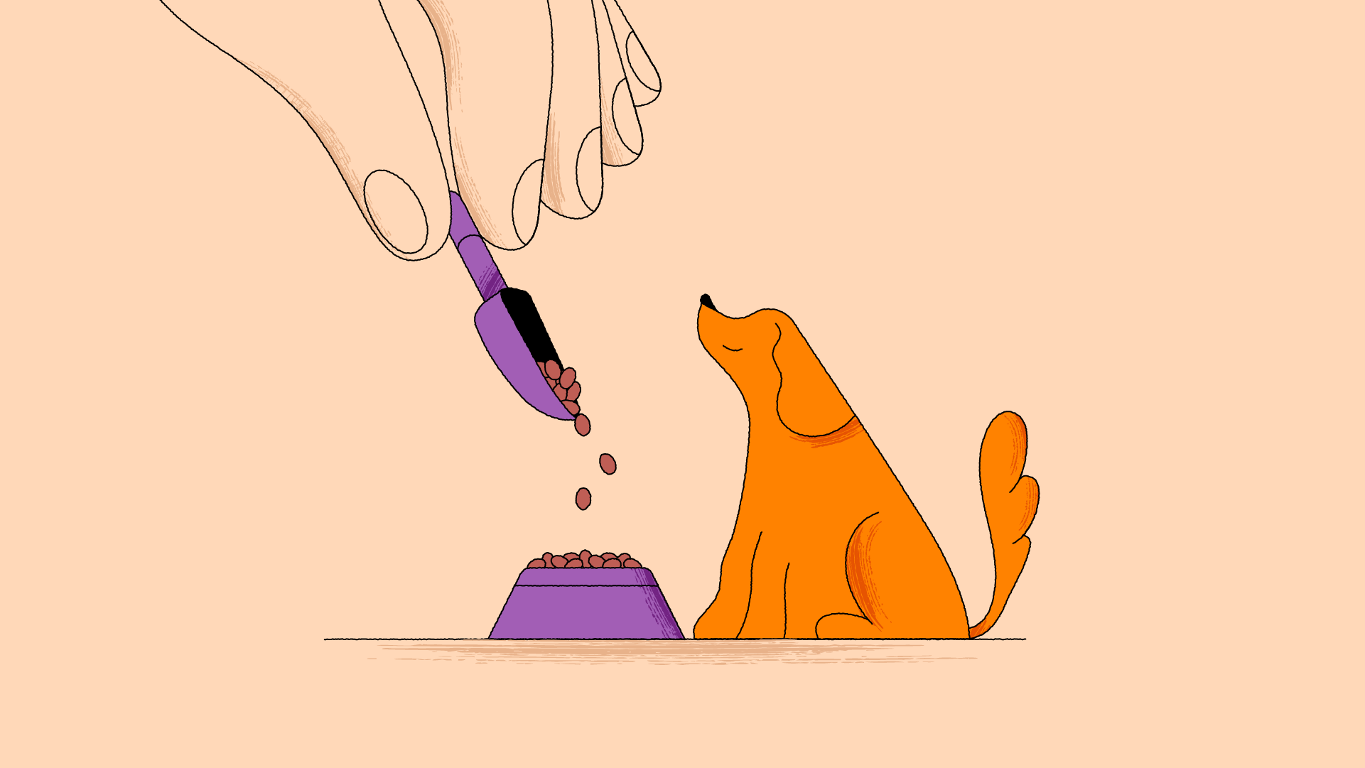 Storyboards 10