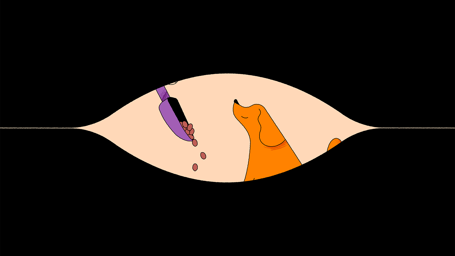 Storyboards 11